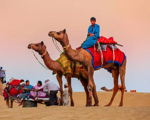 The Ultimate Guide to Camel Trekking in the UAE: What You Need to Know