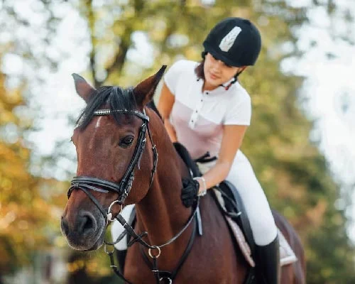 Horse Trekking Booking in Dubai